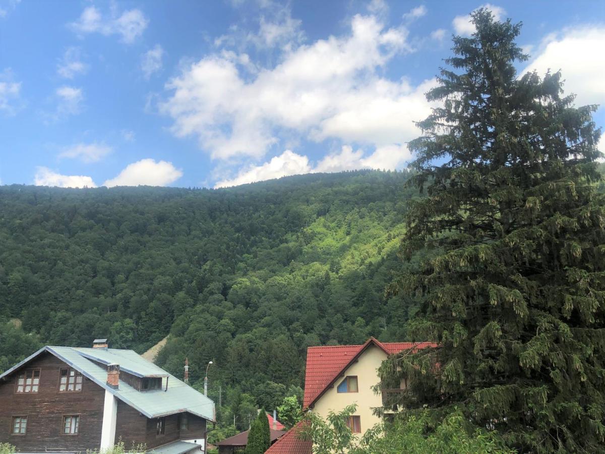 Holiday Home In Сіная Екстер'єр фото