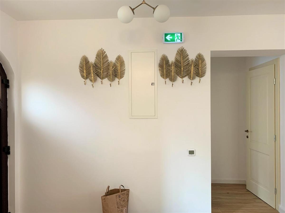 Holiday Home In Сіная Екстер'єр фото
