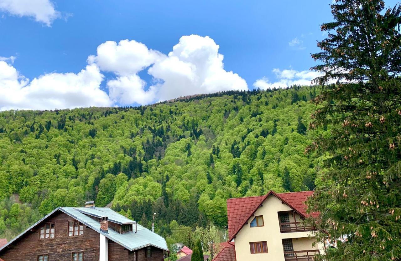Holiday Home In Сіная Екстер'єр фото