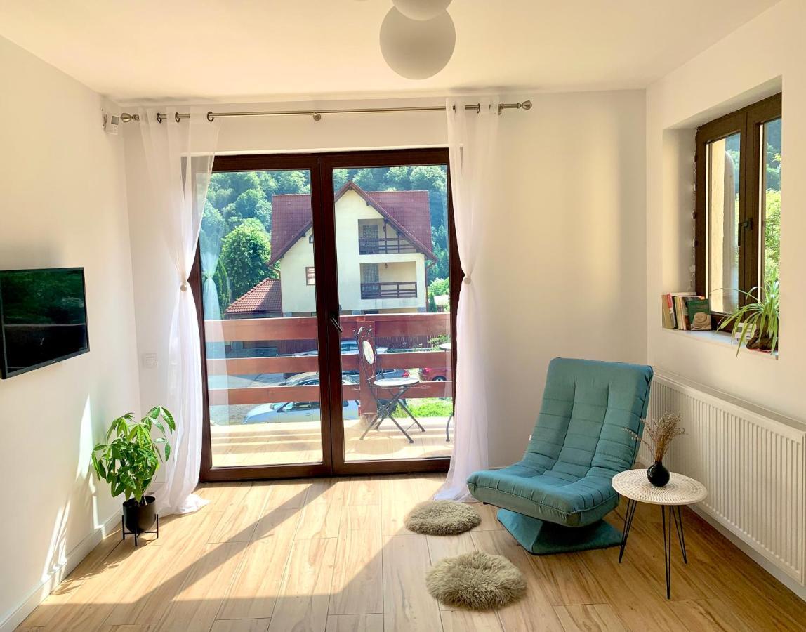 Holiday Home In Сіная Екстер'єр фото